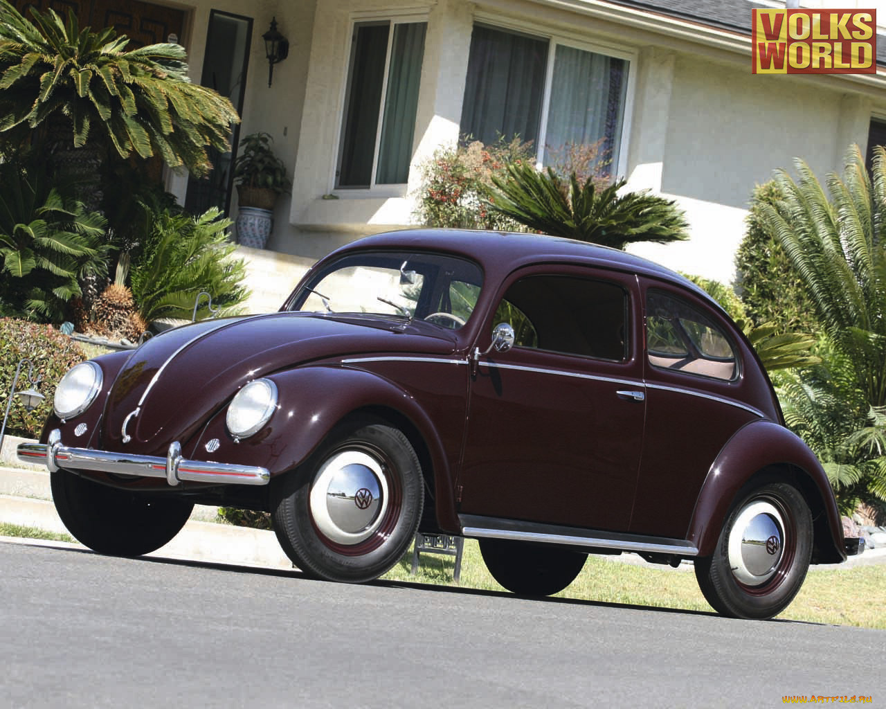 , volkswagen